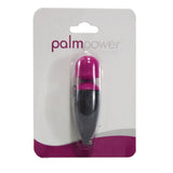 PalmPower Micro Massager Keychain [87160]